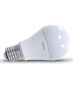 LED Birnenlampe A60 10W mit E27 Fassung - kaltes Licht 5228 Shanyao