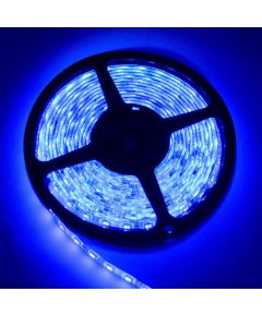 Bande LED flexible bleue SMD 5 mètres LED647 